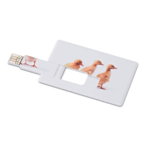 USB-minne kreditkort 16GB