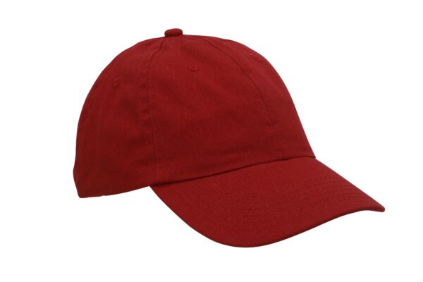 Headwear 4168, Tranbär